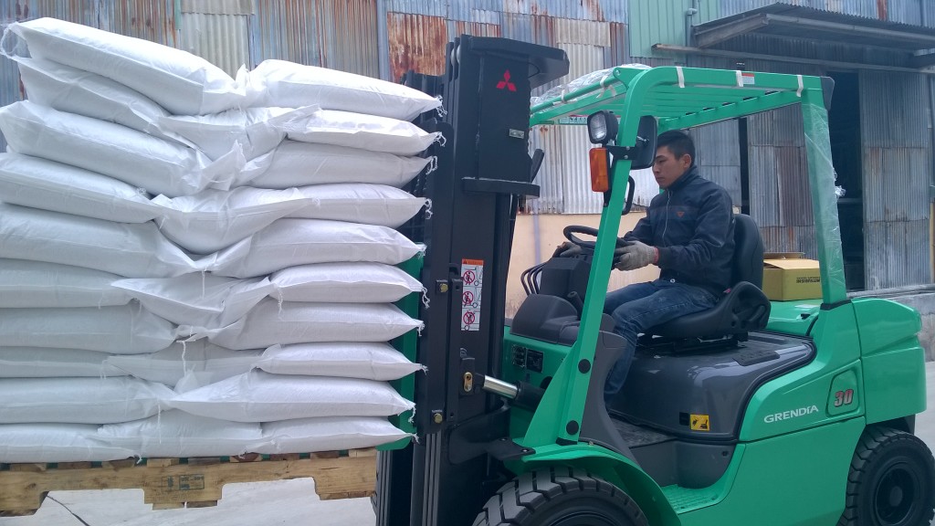 xe nang hang dong co dien